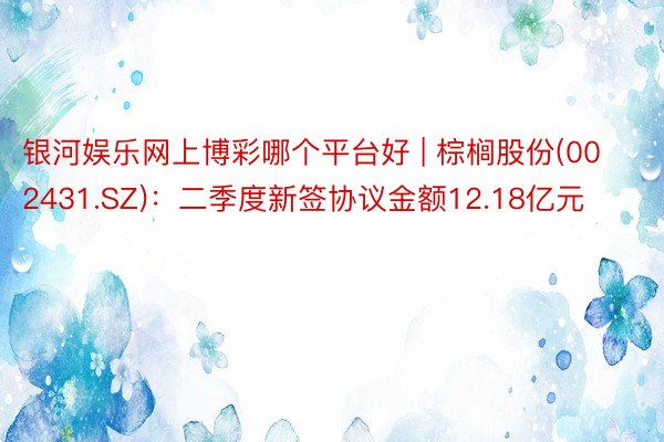 银河娱乐网上博彩哪个平台好 | 棕榈股份(002431.SZ)：二季度新签协议金额12.18亿元