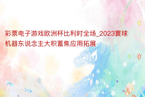 彩票电子游戏欧洲杯比利时全场_2023寰球机器东说念主大积蓄焦应用拓展