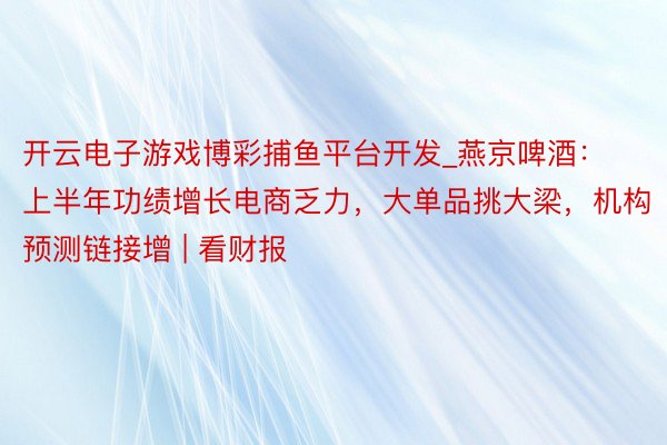 开云电子游戏博彩捕鱼平台开发_燕京啤酒：上半年功绩增长电商乏力，大单品挑大梁，机构预测链接增 | 看财报